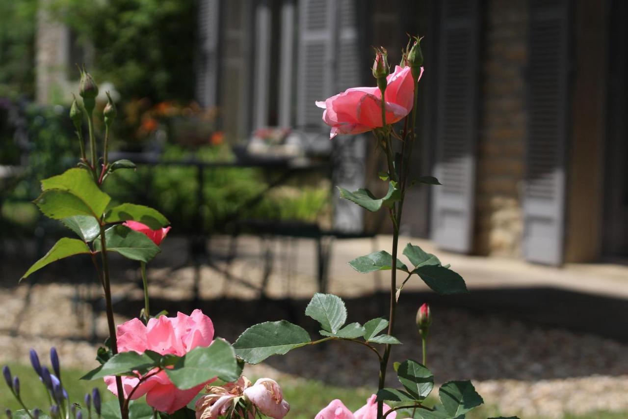 Chez Sophie Et Benoit Bed & Breakfast La Bussiere-sur-Ouche Ngoại thất bức ảnh